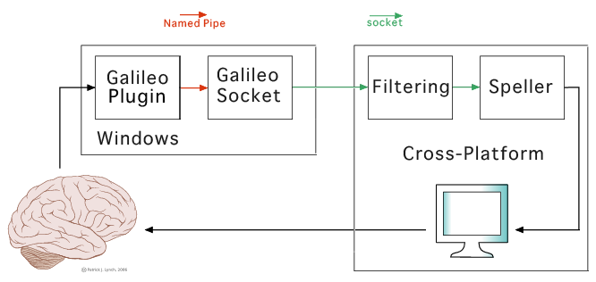 Bci on socket.png