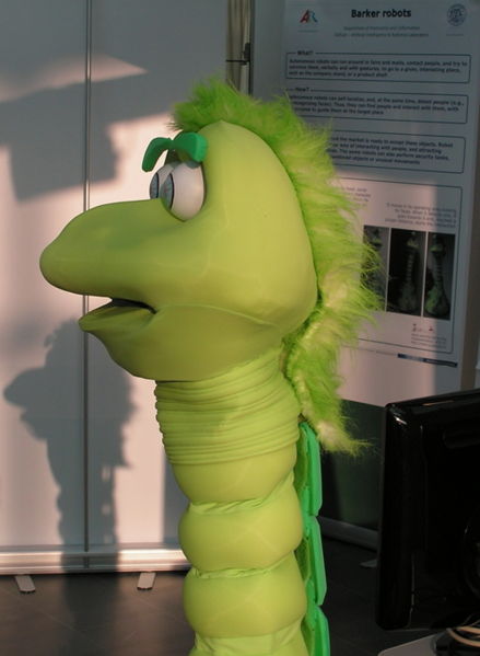 File:E2Robotica2009Shadow2Small.JPG